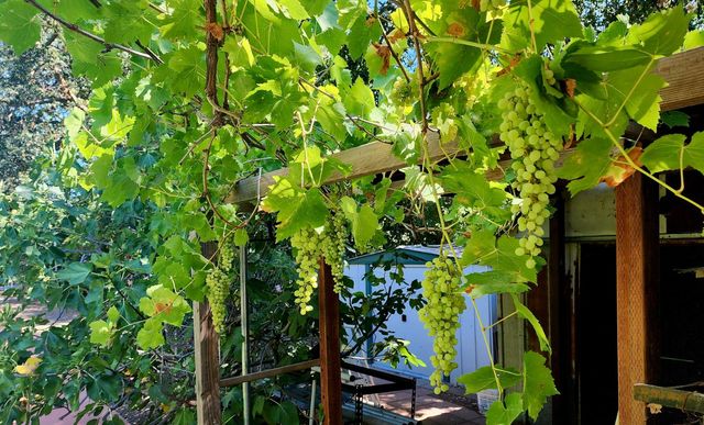 4609 North Ave, Sacramento, CA 95821