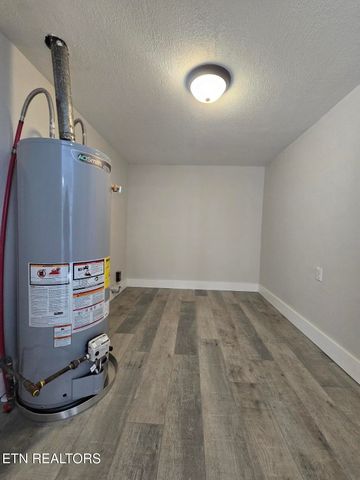 1316 Ditney Tr, Pioneer, TN 37847