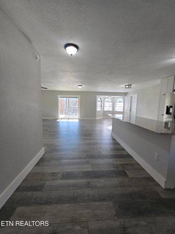 1316 Ditney Tr, Pioneer, TN 37847