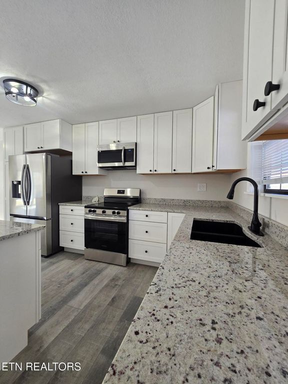 1316 Ditney Tr, Pioneer, TN 37847