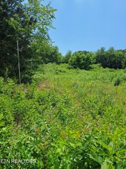 510 Deer Run Way, Newport, TN 37821