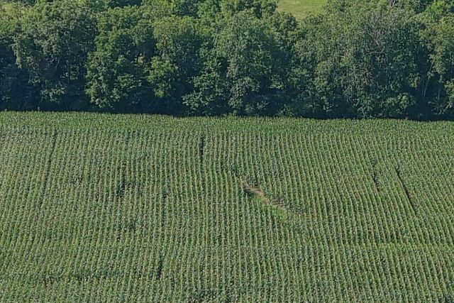 3330 KY-1770, Stanford, KY 40484