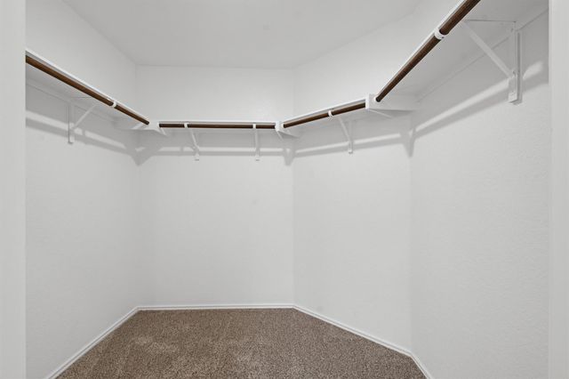 703 Bluejack WAY, Hutto, TX 78634