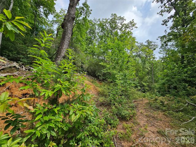 98 Down To Earth Drive 98, Burnsville, NC 28714