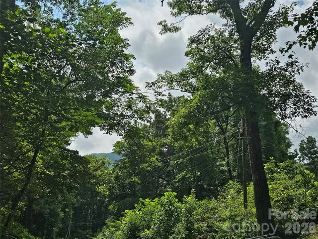 98 Down To Earth Drive 98, Burnsville, NC 28714