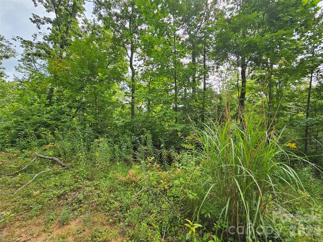 98 Down To Earth Drive 98, Burnsville, NC 28714