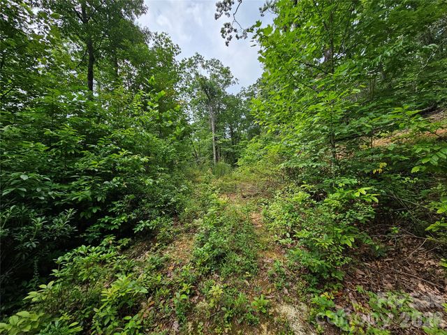 98 Down To Earth Drive 98, Burnsville, NC 28714