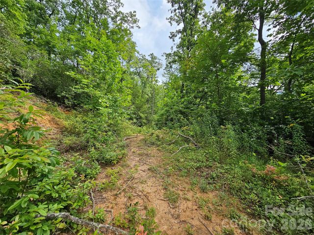 98 Down To Earth Drive 98, Burnsville, NC 28714