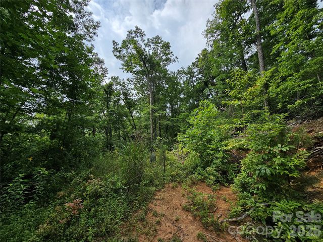 98 Down To Earth Drive 98, Burnsville, NC 28714