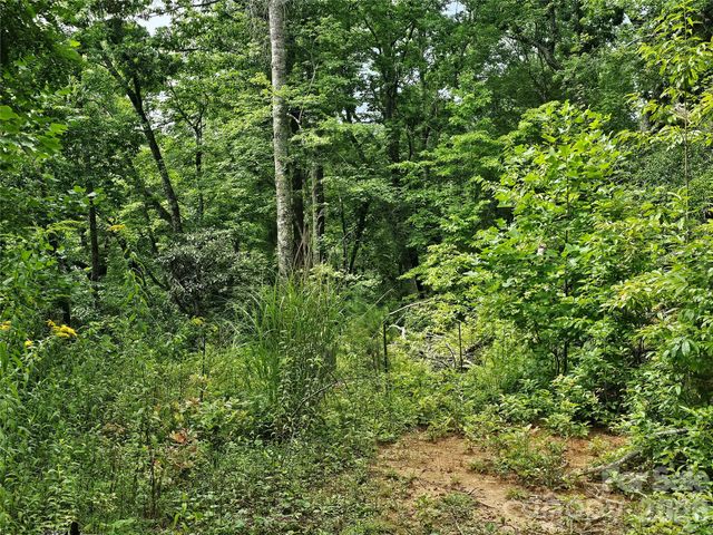 98 Down To Earth Drive 98, Burnsville, NC 28714
