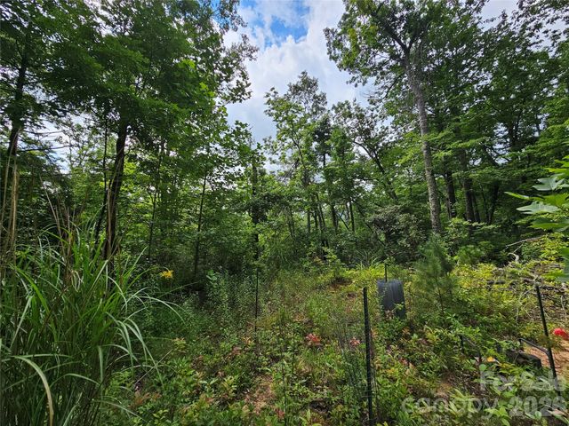 98 Down To Earth Drive 98, Burnsville, NC 28714