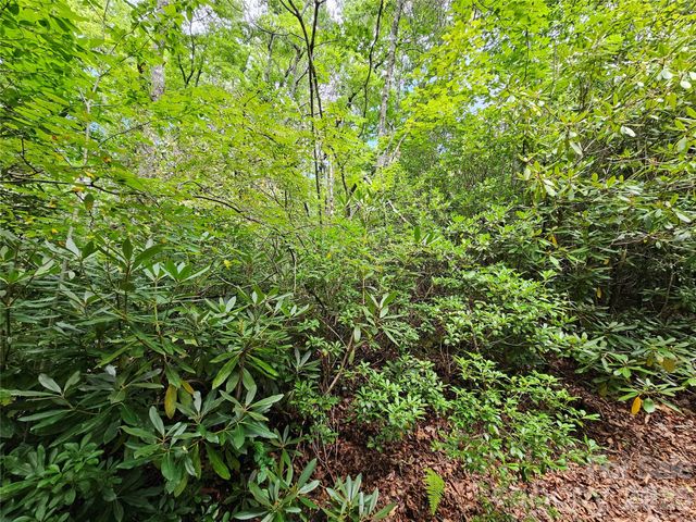 98 Down To Earth Drive 98, Burnsville, NC 28714