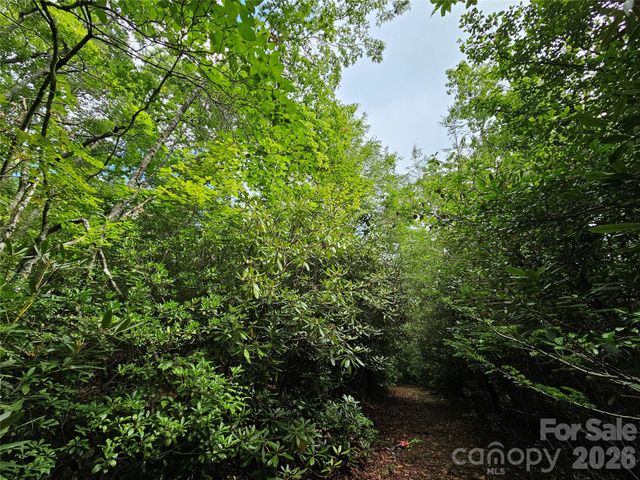 98 Down To Earth Drive 98, Burnsville, NC 28714