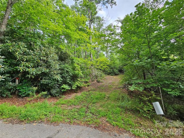 98 Down To Earth Drive 98, Burnsville, NC 28714