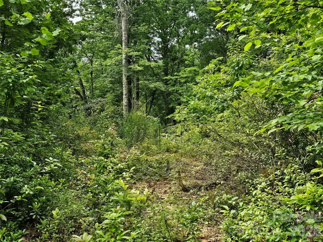 98 Down To Earth Drive 98, Burnsville, NC 28714