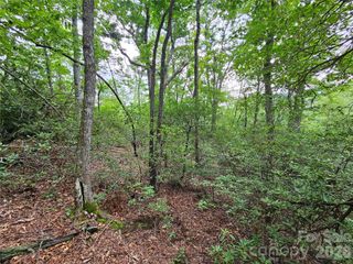 98 Down To Earth Drive 98, Burnsville, NC 28714