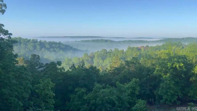 4 Gray Hawk Drive, Paron, AR 72122