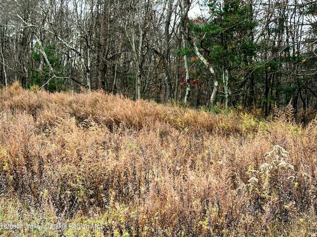 3264 County Route 7, Copake, NY 12516