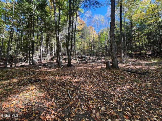 40 Constitution Way, Fort Ann, NY 12827