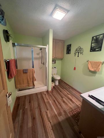 11 Cross Creek, Bigelow, AR 72070