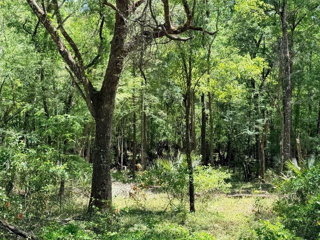 288 NE 899TH STREET, Old Town, FL 32680