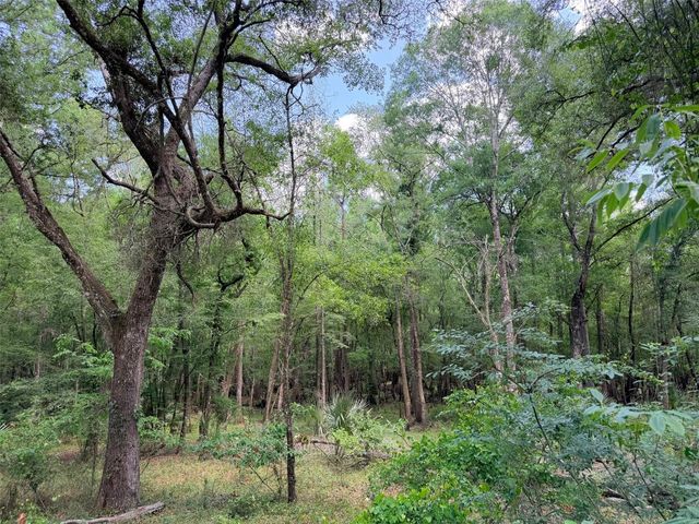 288 NE 899TH STREET, Old Town, FL 32680