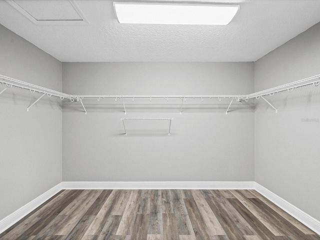 7335 BRIDGEVIEW DRIVE, Wesley Chapel, FL 33545