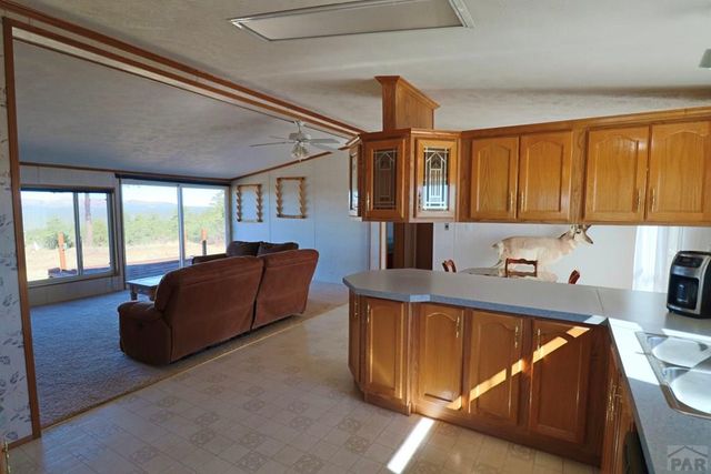 25110 N Ridgeline Dr, Trinidad, CO 81082