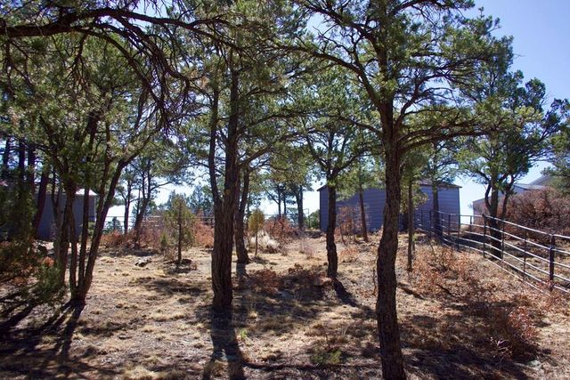 25110 N Ridgeline Dr, Trinidad, CO 81082