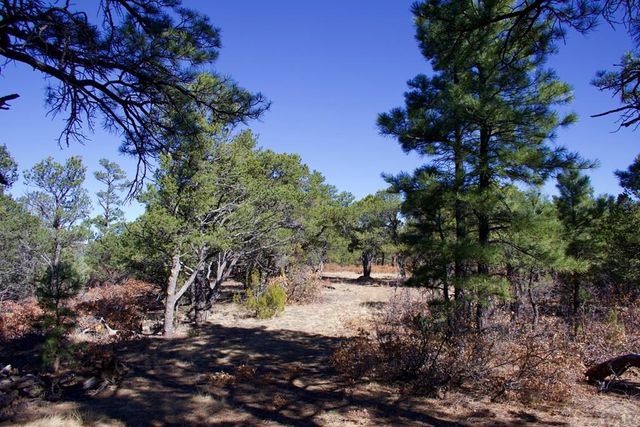25110 N Ridgeline Dr, Trinidad, CO 81082