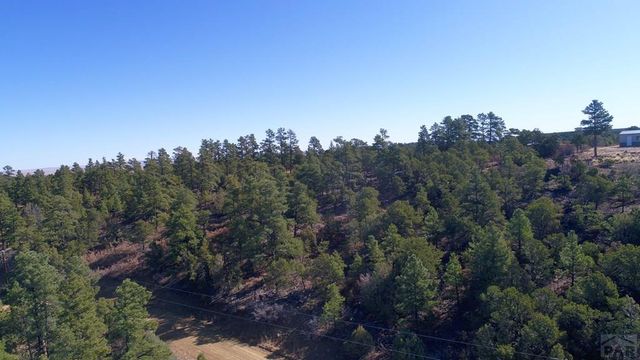 25110 N Ridgeline Dr, Trinidad, CO 81082
