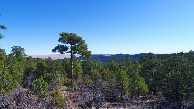 25110 N Ridgeline Dr, Trinidad, CO 81082