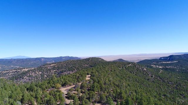 25110 N Ridgeline Dr, Trinidad, CO 81082