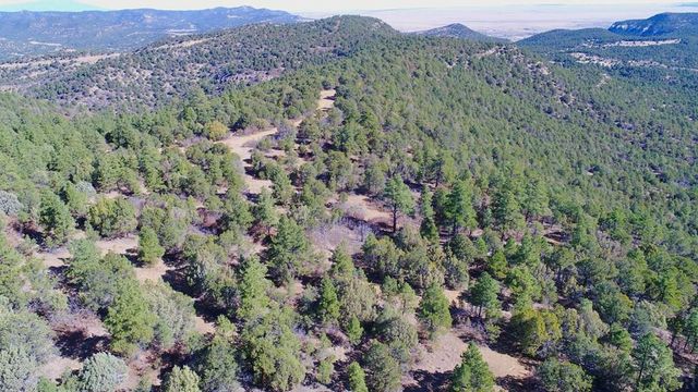25110 N Ridgeline Dr, Trinidad, CO 81082