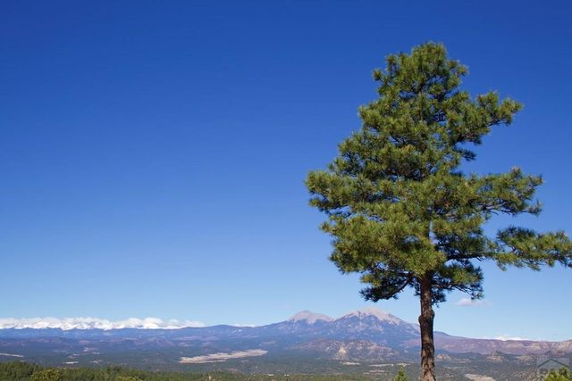 25110 N Ridgeline Dr, Trinidad, CO 81082