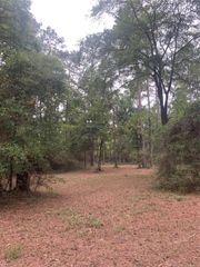 TBD Oak Pine Drive, Livingston, TX 77351