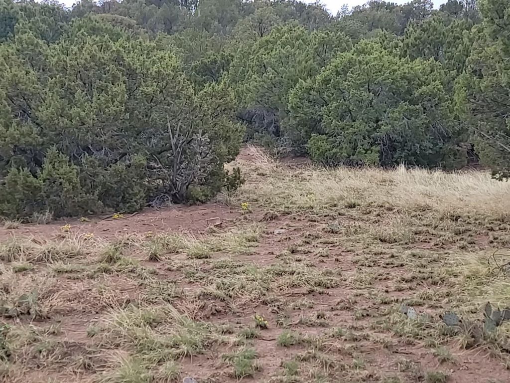 60 High Vista Drive, Moriarty, NM 87035