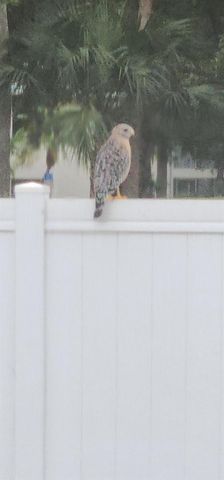 6727 Dickinson Terrace, Port St. Lucie, FL 34952