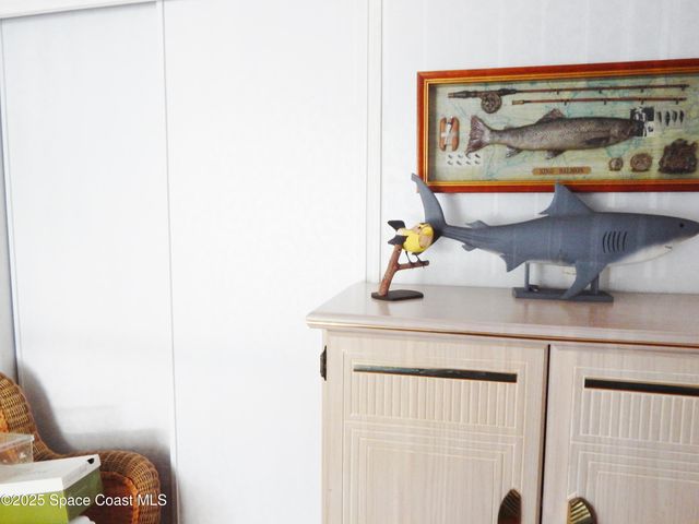 1356 Turkey Creek Drive NE, Palm Bay, FL 32905