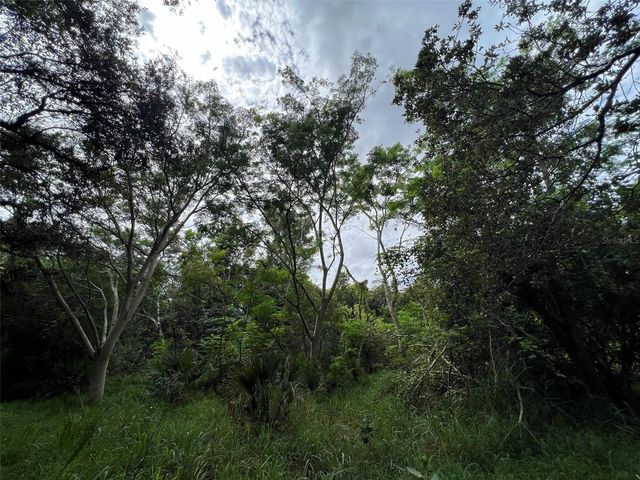 11117 MCMULLEN ROAD, Riverview, FL 33569