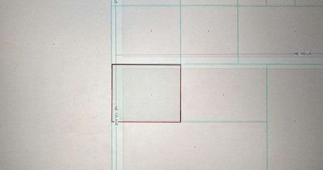 TBD NE 135 AVENUE, Fort Mc Coy, FL 32134