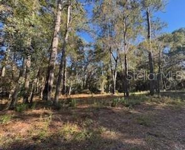 TBD NE 135 AVENUE, Fort Mc Coy, FL 32134