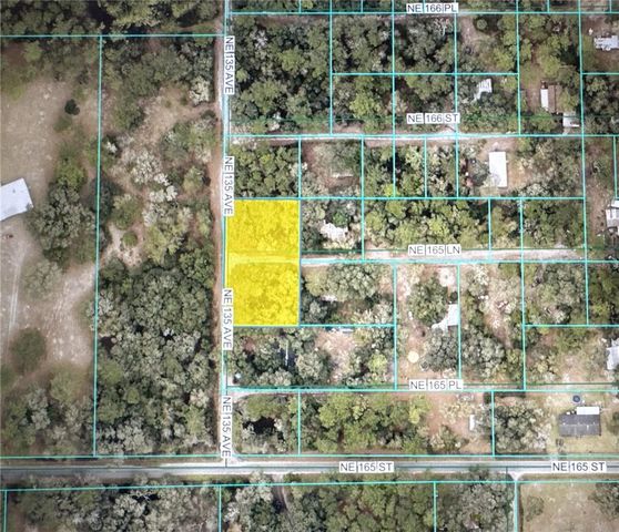 TBD NE 135 AVENUE, Fort Mc Coy, FL 32134