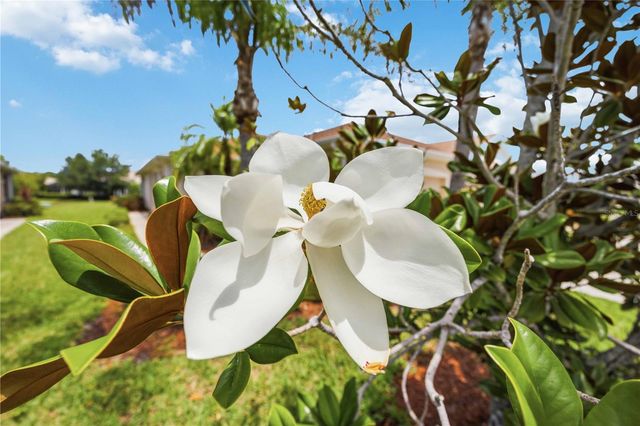 4249 LENOX BOULEVARD, Venice, FL 34293