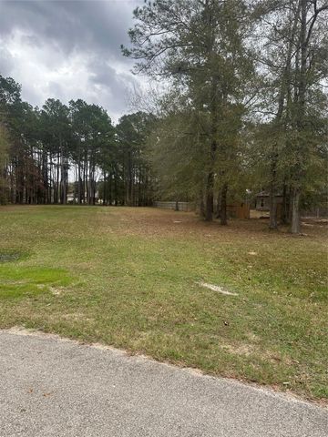 17107 Paluxy Court, Splendora, TX 77372