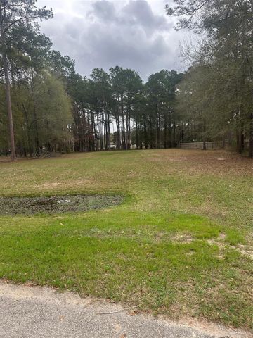 17107 Paluxy Court, Splendora, TX 77372