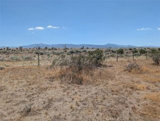 123 Dos Palmas, Pinon Hills, CA 92372