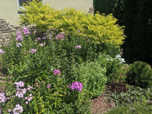 8116 Clifford Circle, Inver Grove Heights, MN 55076