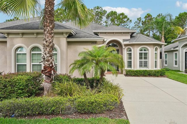 2919 DEVONOAK BOULEVARD, Land O Lakes, FL 34638