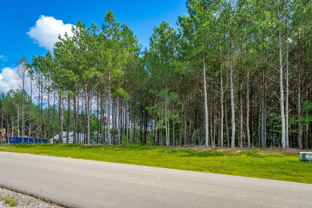 0 Waterwheel Way Jf325, Jasper, TN 37347